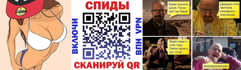 Amphetamine Premium Пионерский