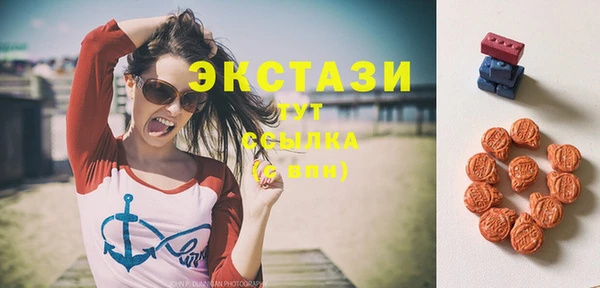 мдпв Кулебаки