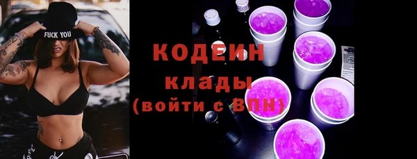 амф Краснослободск