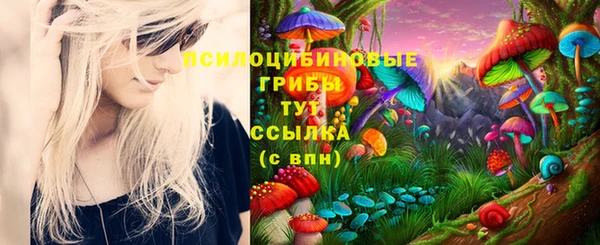 a pvp Куйбышев