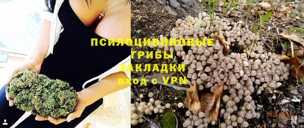 мдпв Кулебаки